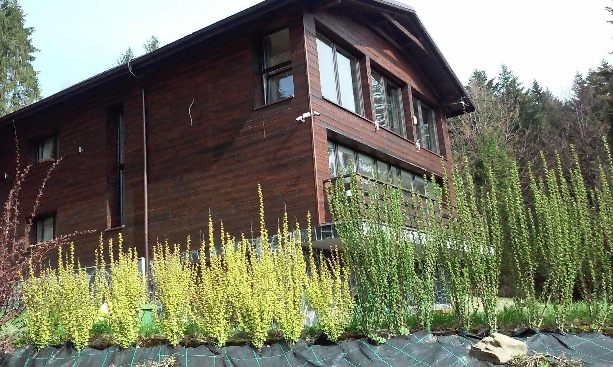 Karolinka Guest House Szczyrk Exterior photo